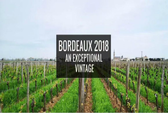 关于2018年度波尔多年份报告