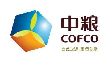金茂地产